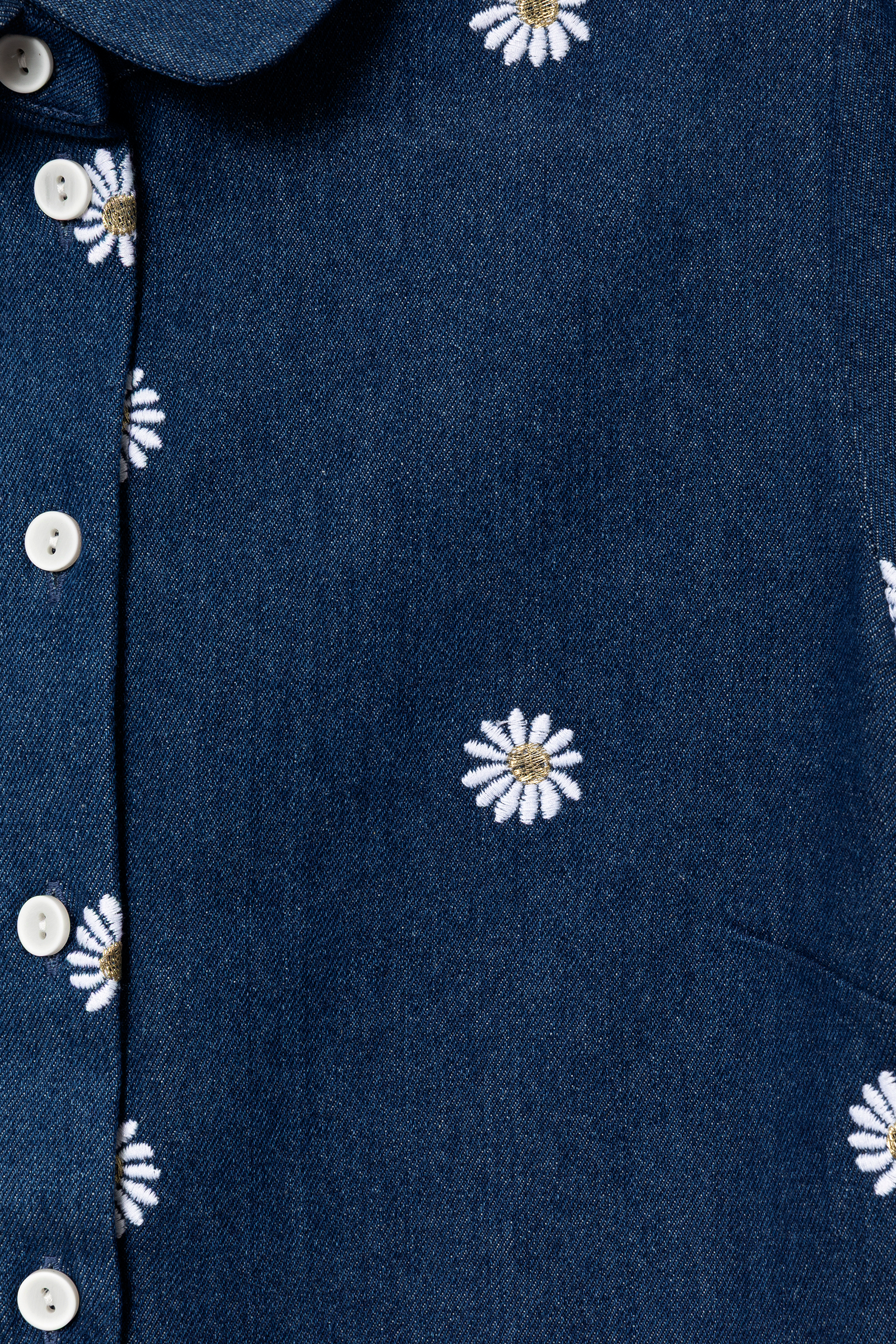 Embroidered denim Vic shirt