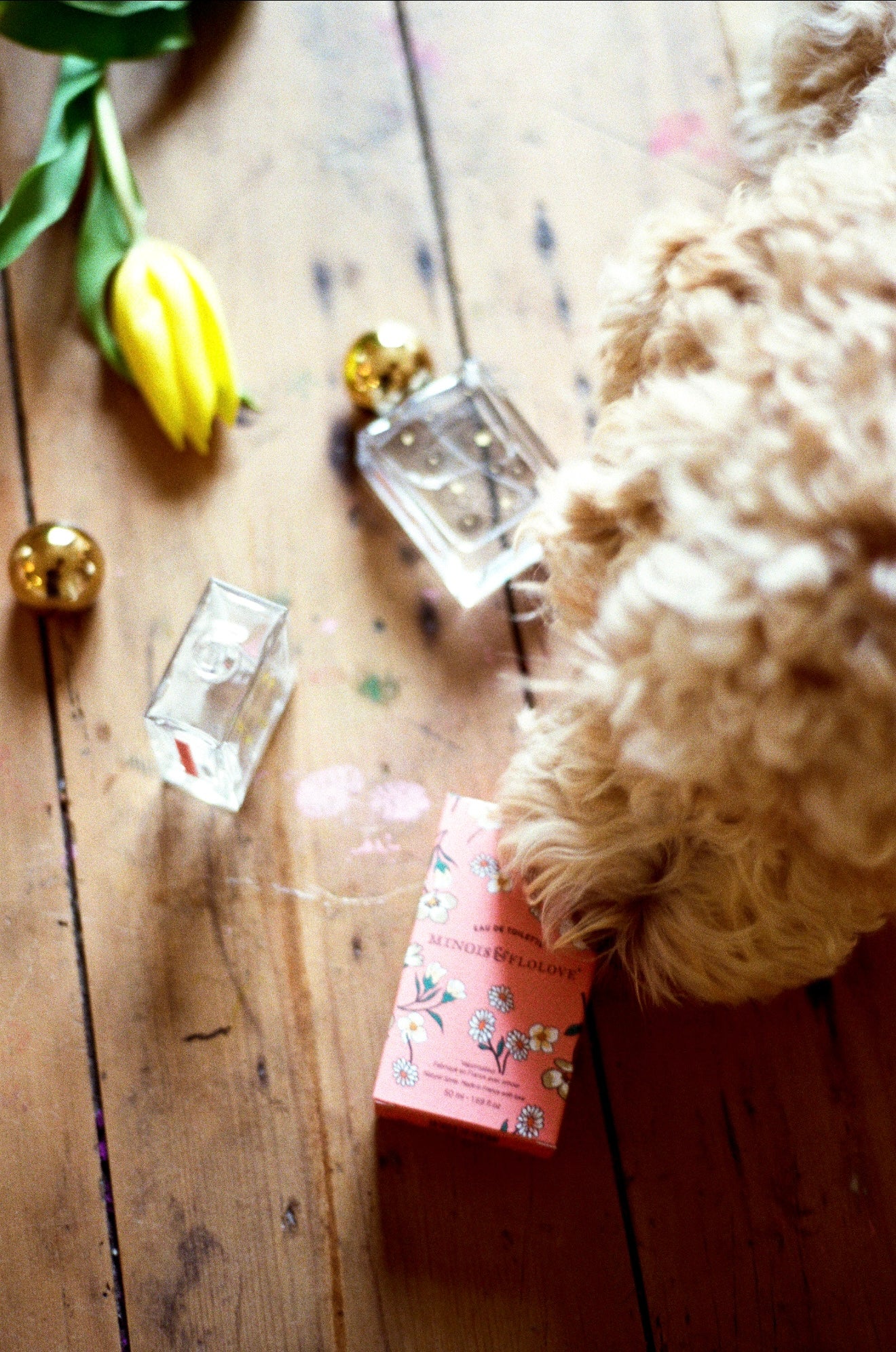 Eau de Toilette Minois x Flolove